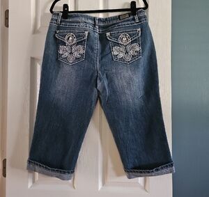 Earl Jeans Blue Ankle Cropped Denim
